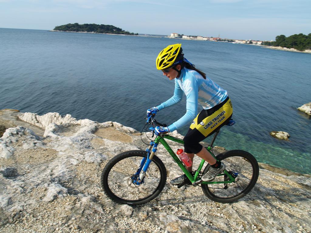 Apartment Porec Villa Mihaela Porec